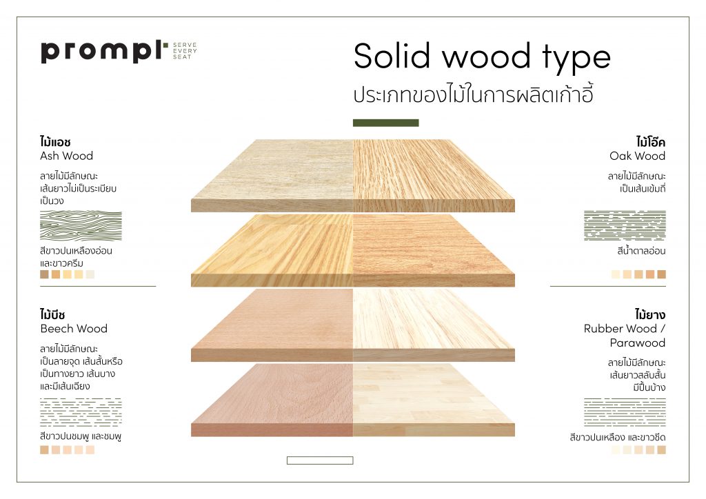 Infographic ประเภทของไม้ในการผลิตเก้าอี้